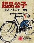 超品公子 超品公子