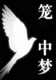 笼中梦 笼中梦