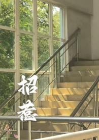 招惹1v1 招惹1v1